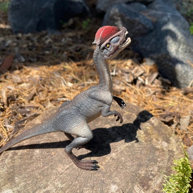 Safari® Dilophosaurus dinosaurus GR