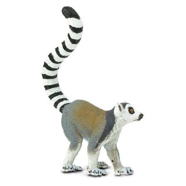 Safari® Lemure