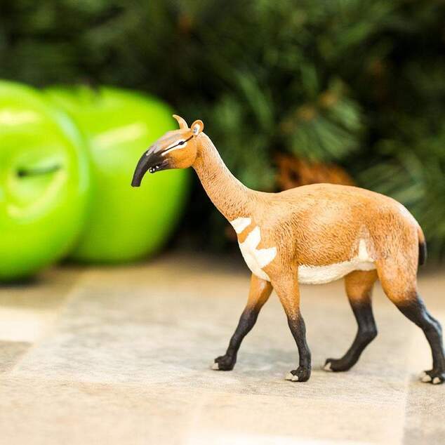 Safari® Macrauchenia