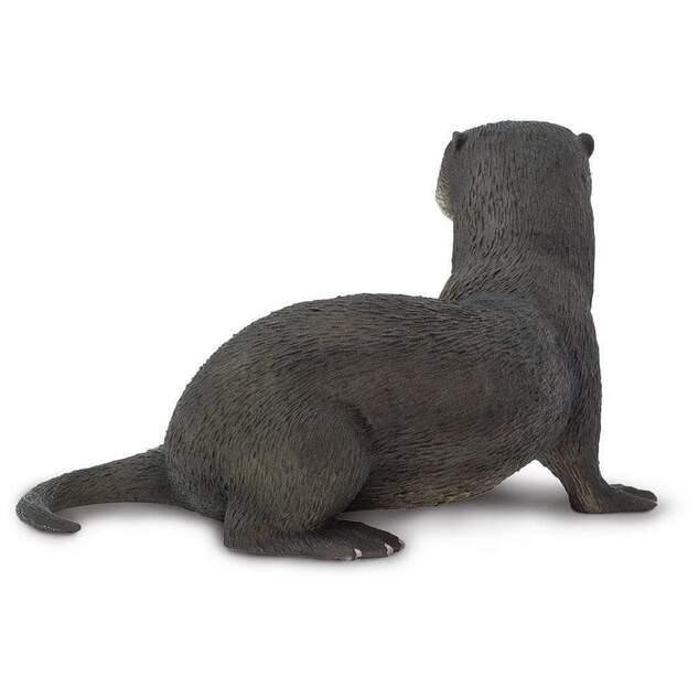 Safari® Vydra
