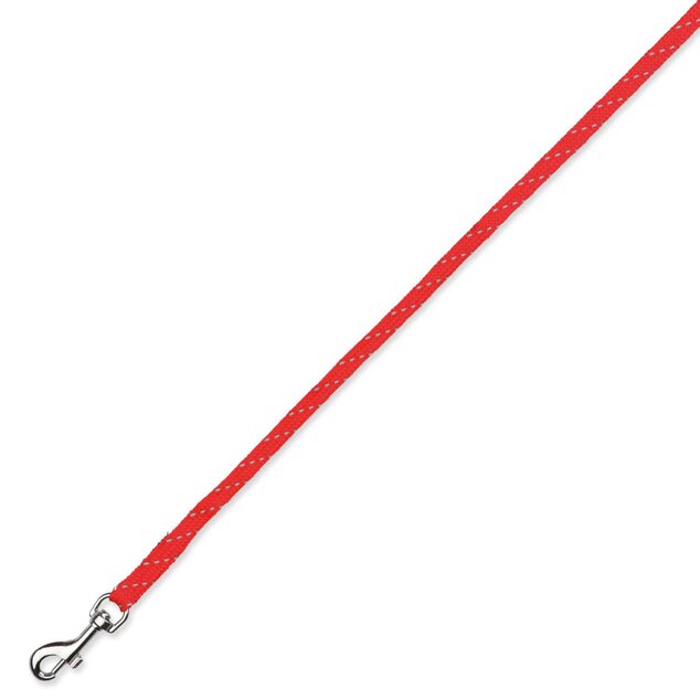 Set postroj a vodítko pre mačky reflexný, nylon