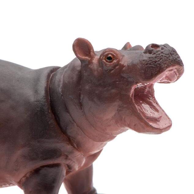 Safari® Mláďa hrocha