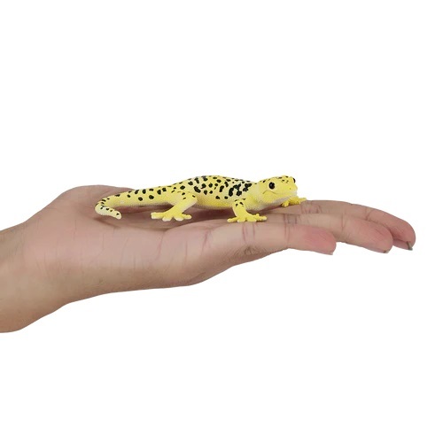 Moj Gekon Leopard.