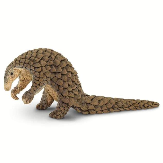 Safari® Pangolín