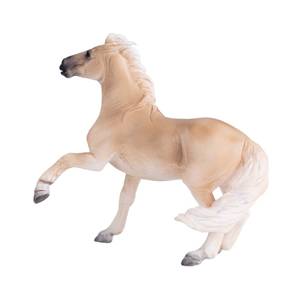 Mojo Kôň Brumby Mare