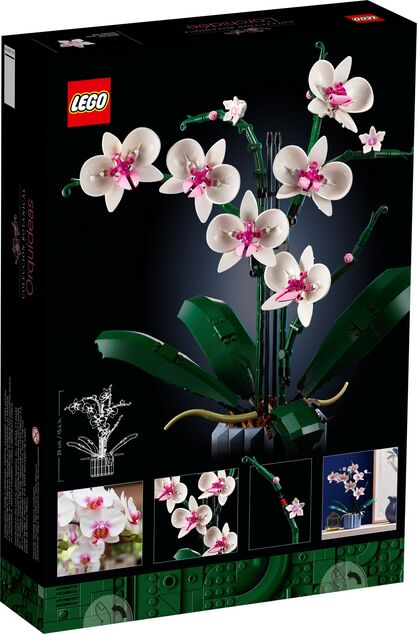 LEGO® Botanicals 10311 Orhidee