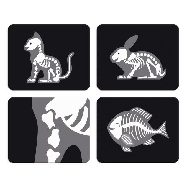 Janod Valigetta del Veterinario per bambini con accessori