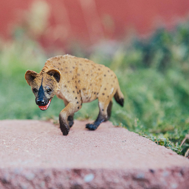 Safari® Hyena