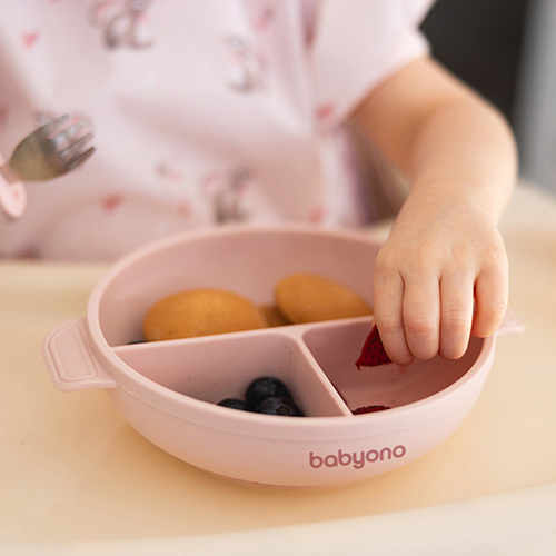 BABYONO Silikonteller mit Saugnapf und Deckel rosa 6m+