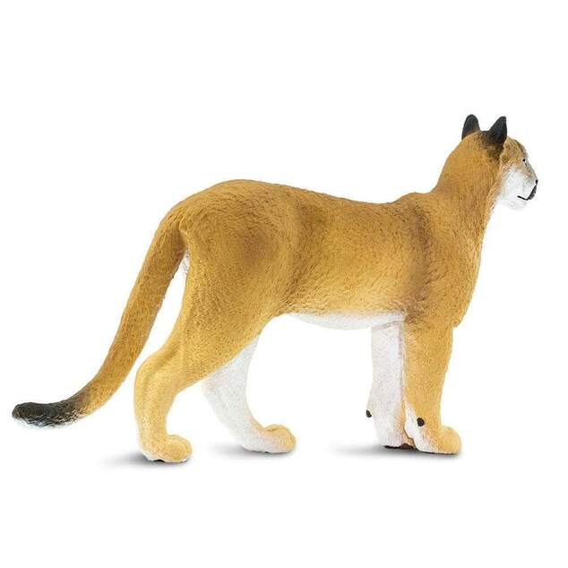 Safari® Puma floridská