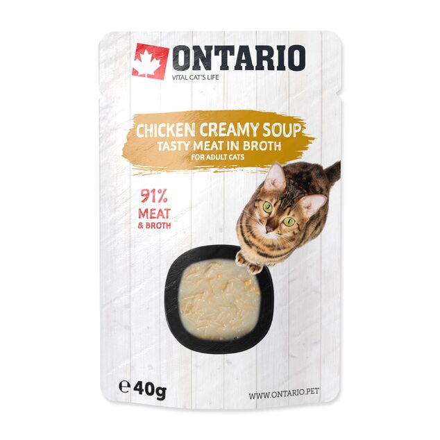 Polievka Ontario kura so syrom 40g