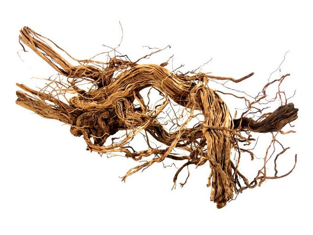 Dragon Wood XXXL 90-120cm 1 kus