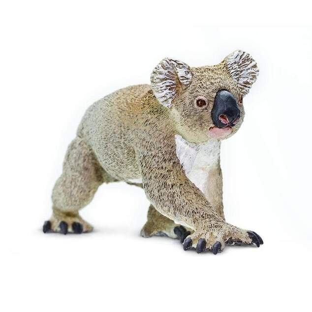 Safari® Koala