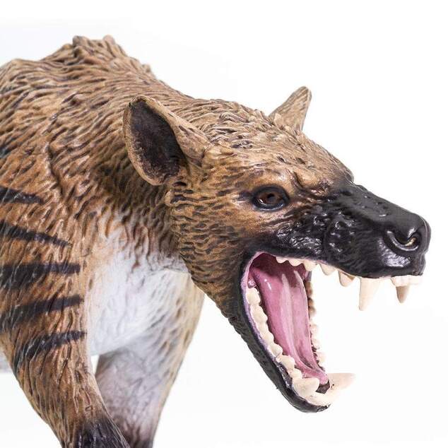 Safari® Hyaenodon Gigas