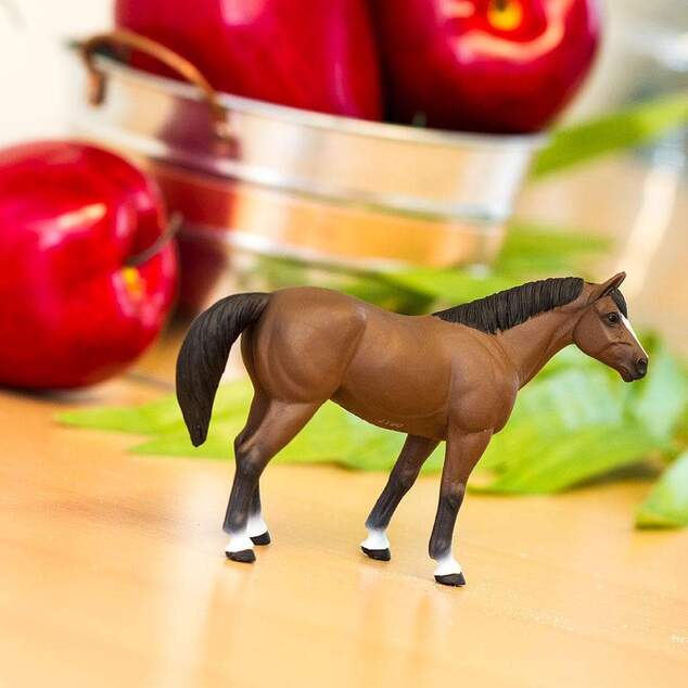 Safari® Quarter horse valach kôň