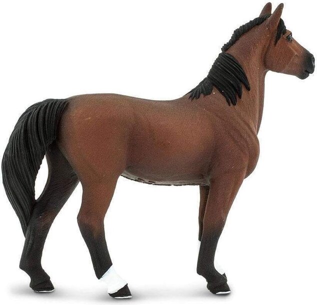 Safari® Morganský kôň