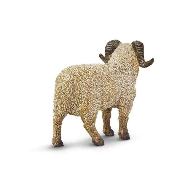 Safari® Baran
