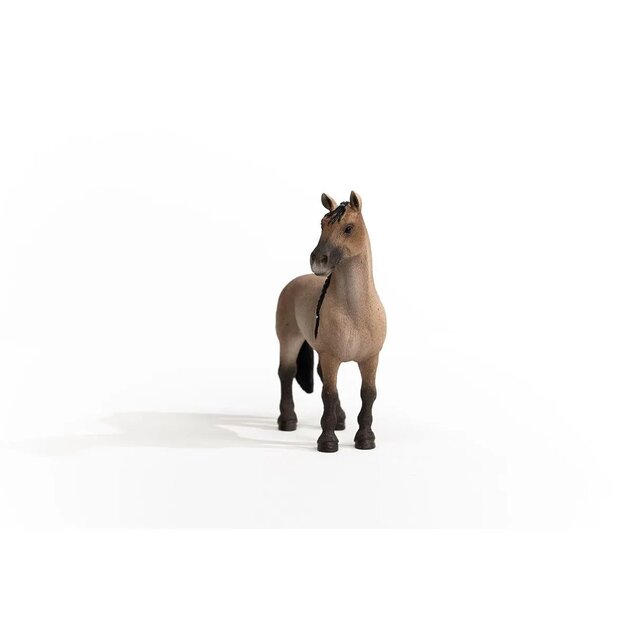 Schleich Kobyla Criollo Definitivo