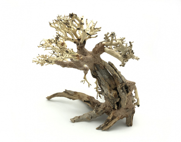 Bonsai Driftwood 25 x 20 x 23 cm Nr.82