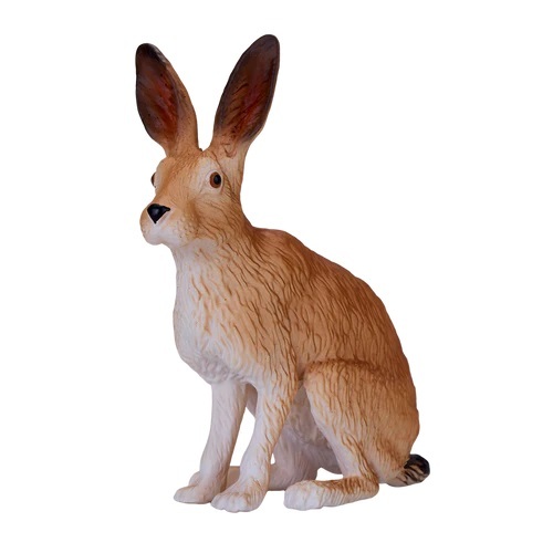 Mein sitzender Hase