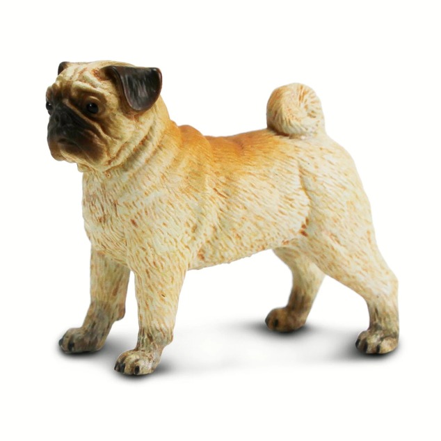 Safari® Câine Mops