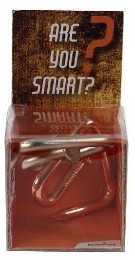 RECENTTOYS Are you Smart
