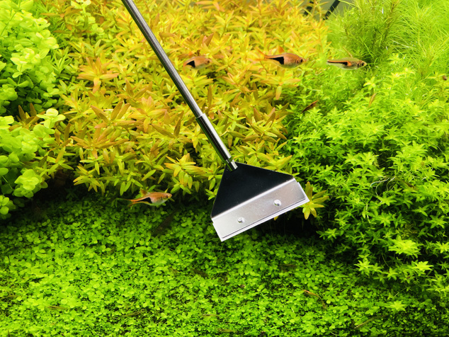 INVITAL Algae Scraper Pro