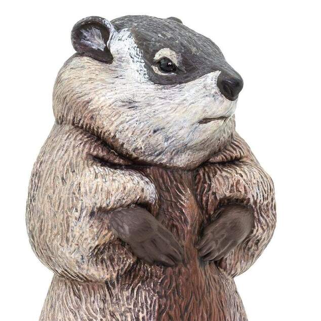 Safari® Svišť lesný