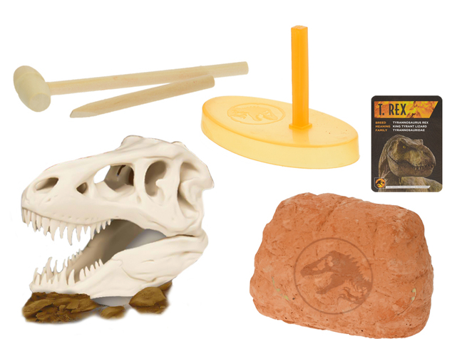Jurassic World-Set, schnitzen Sie einen Dinosaurierschädel mit Sockel