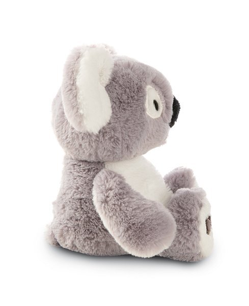 NICI plyš Koala Barry 18cm GREEN