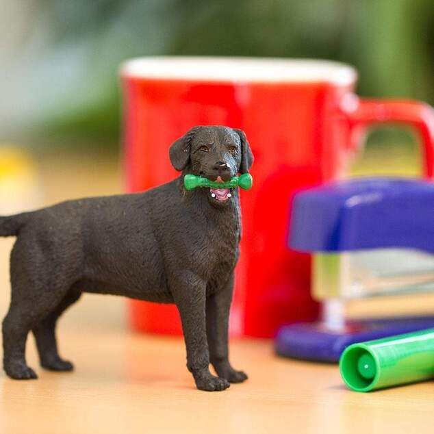 Safari® Čierny labrador
