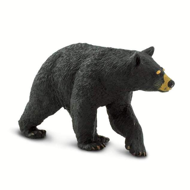 Safari® Čierny medveď