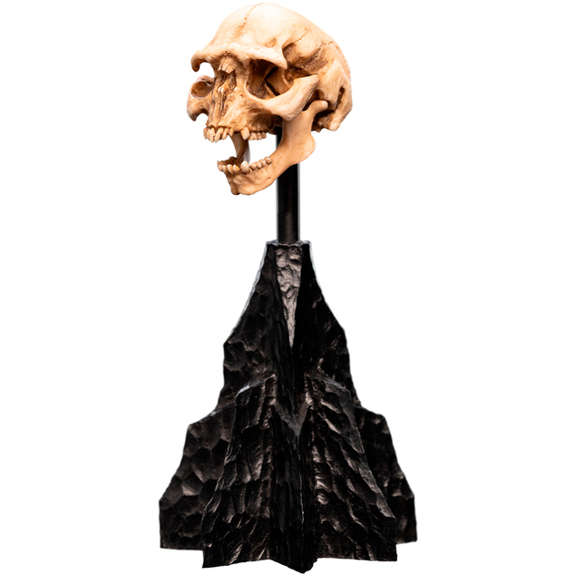 Weta Workshop Lord of the Rings - Craniul unui Orc din Moria Miniatură
