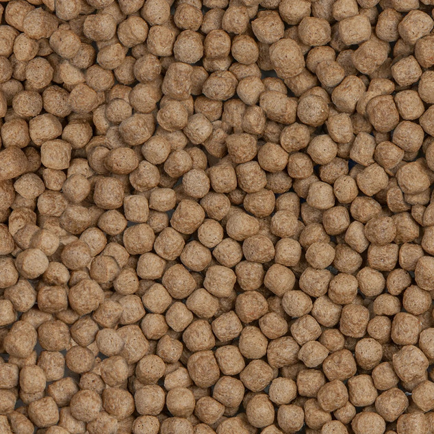 Sera Koi Royal Large 1L