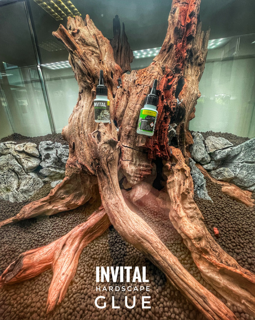INVITAL HardScape Glue 20 g - lepidlo na dekorácie
