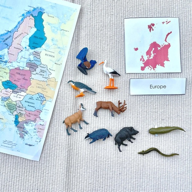 Safari® Toob Európske zvieratá 9 figúrok