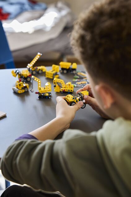 LEGO® Technic 42233 Močni stroji