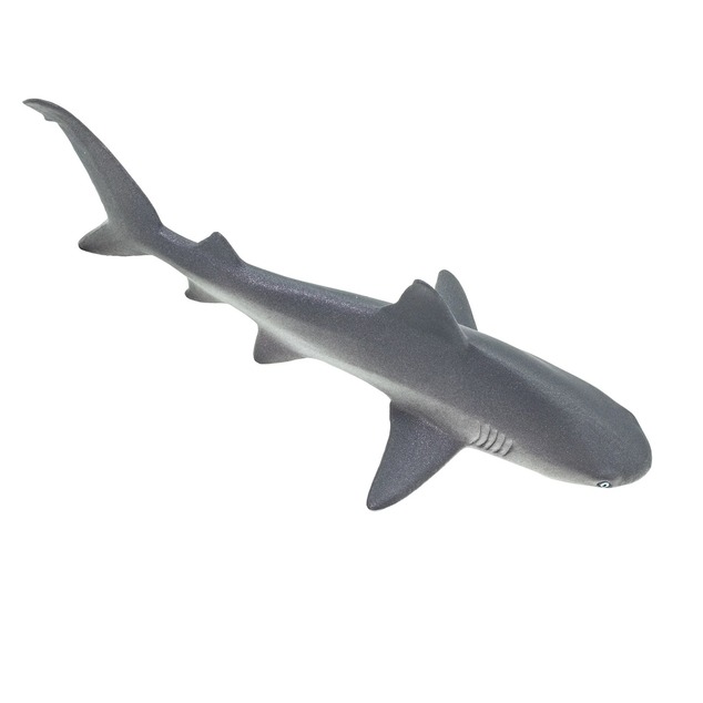 Safari® Grauer Riffhai