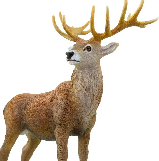 Safari® Jeleň červený