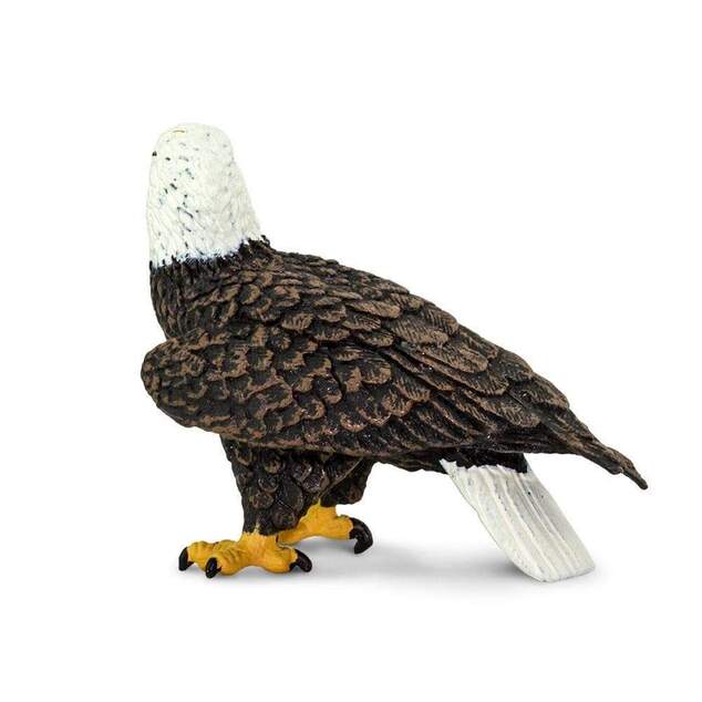 Safari® Orol bielohlavý