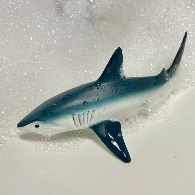 Safari®  Žralok porbeagle