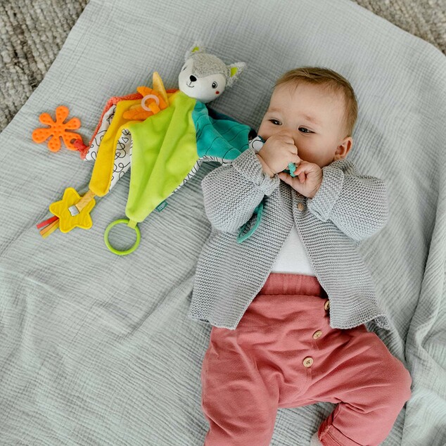 Aktivity deluxe muchláčik líška, DoBabyDoo