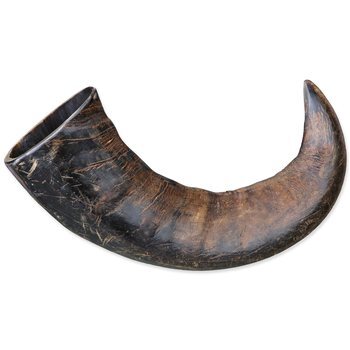 Žuvací roh Genuine buffalo veľký