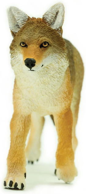 Safari® Kojot prérijný