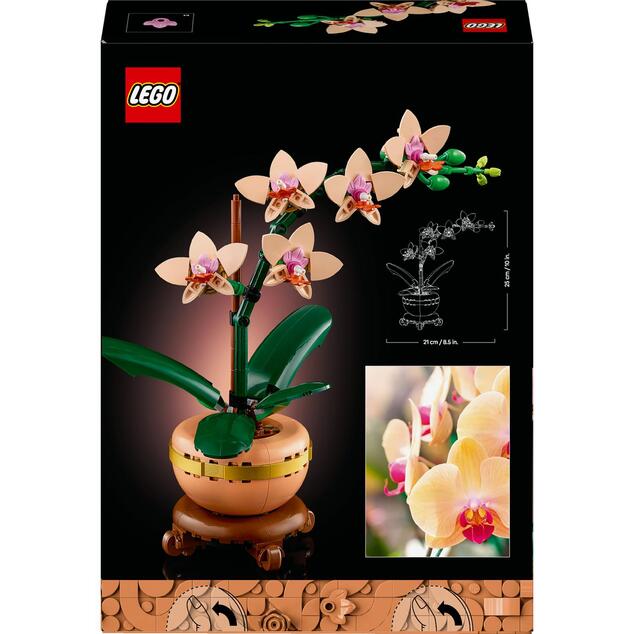 LEGO® Botanicals 10343 Miniatúrna orchidea