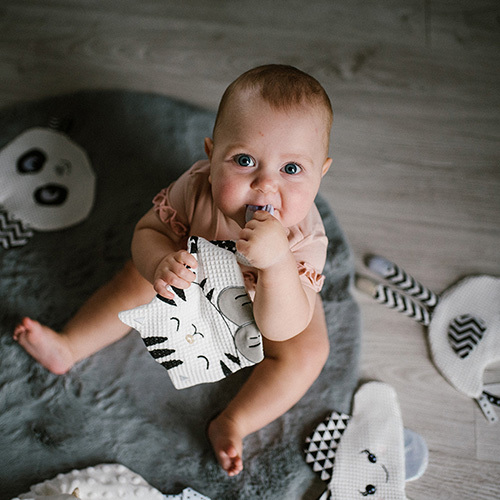 BABYONO Happy Panda Haustierspielzeug