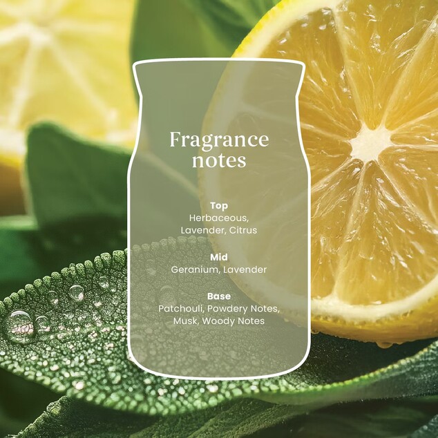 YC Signature Kerze Klein Sage &amp; Citrus