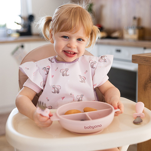 BABYONO Silikonteller mit Saugnapf und Deckel rosa 6m+
