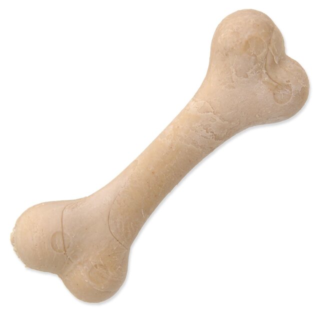 Displej Kosť Dentosaurus kalciová 8,5cm 56ks