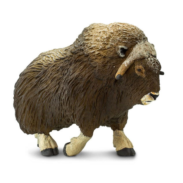 Safari® Mufflon